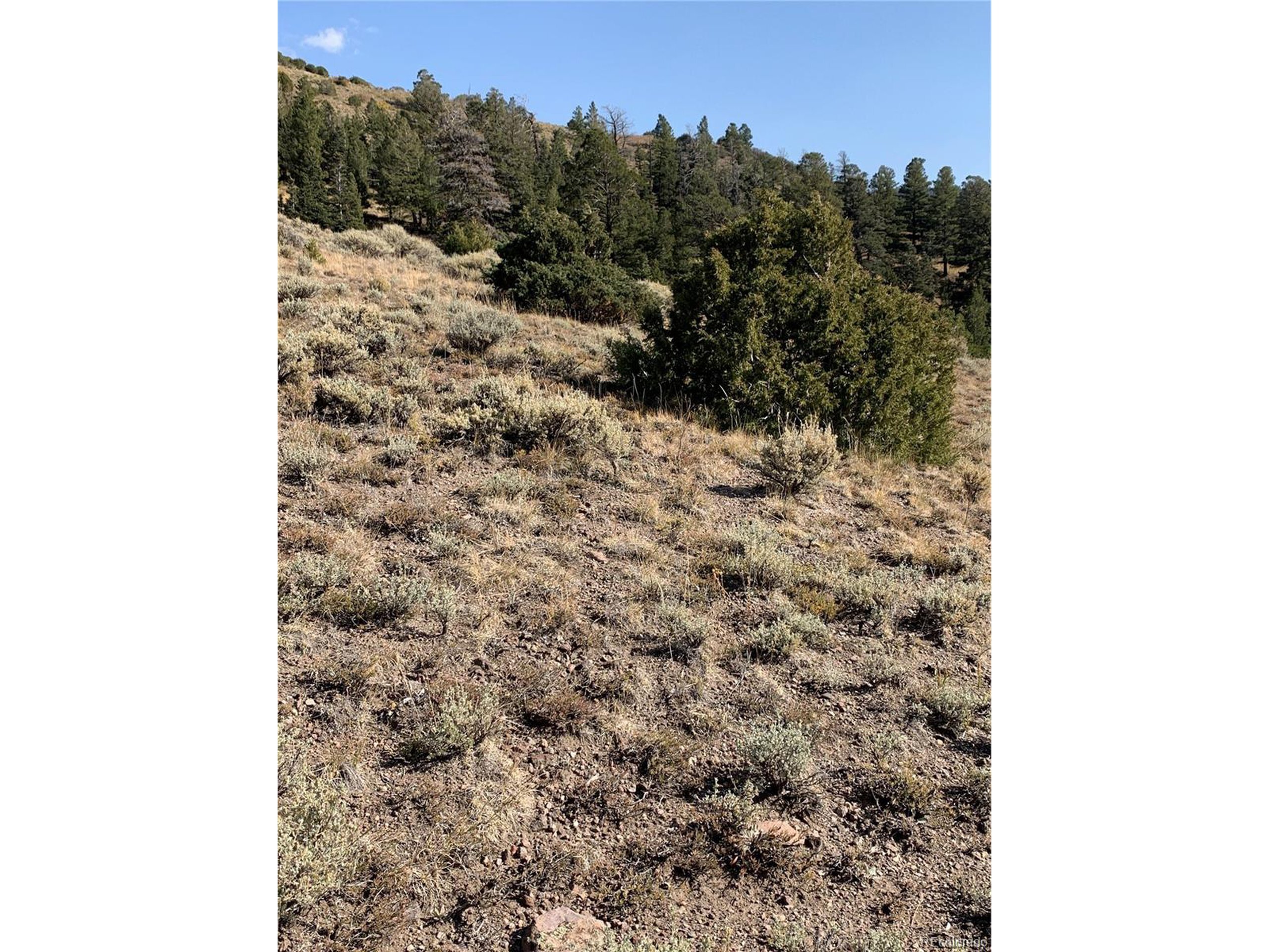 Property Photo: 5079 Delancey Rd CO 81133