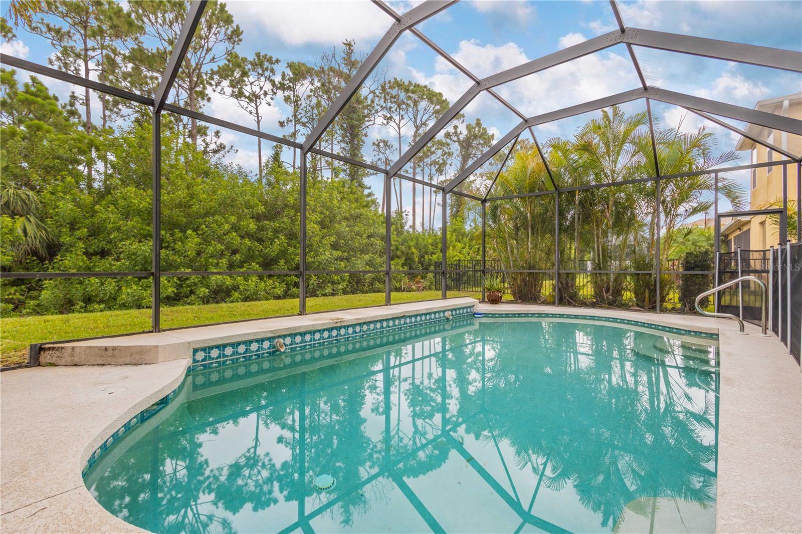 Property Photo:  2525 Hobblebrush Drive  FL 34289 