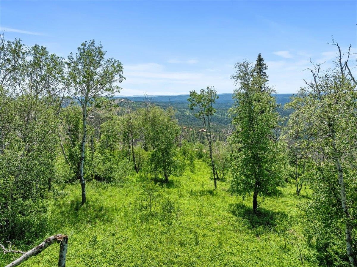 Property Photo: Lot 2 SD 57754