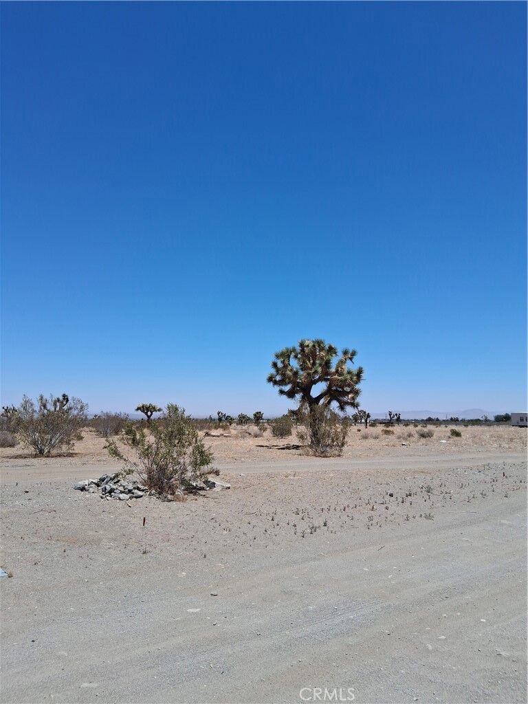 Property Photo: 0 Danbury Road CA 92371