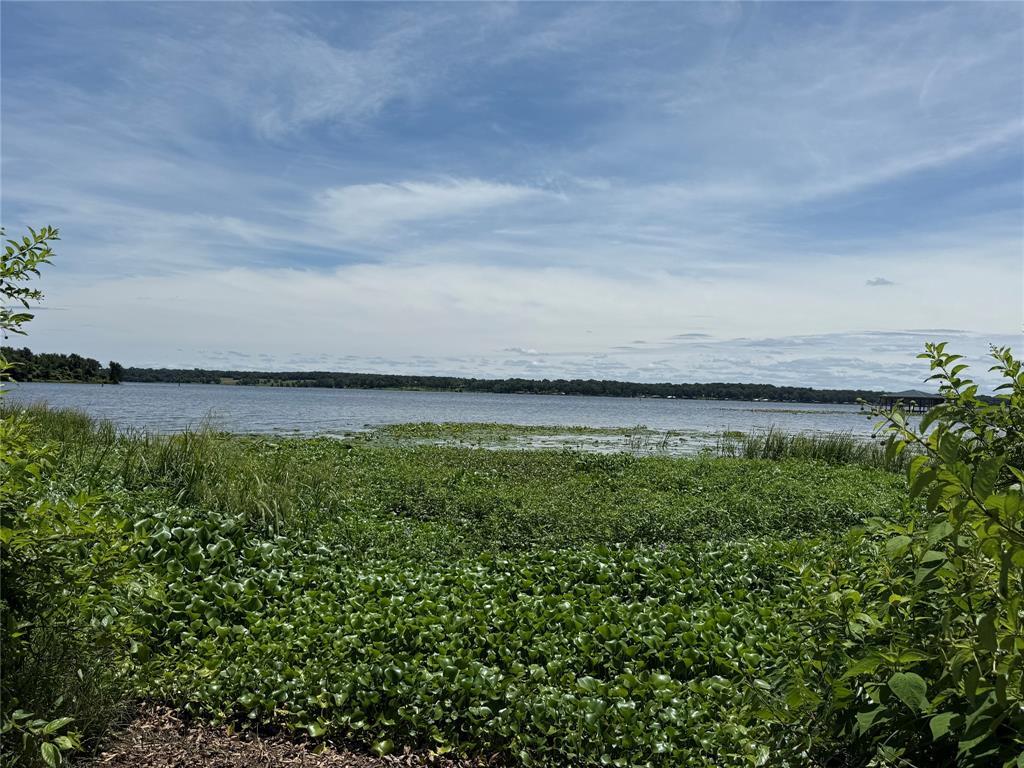 Property Photo: Tbd Pr 5861 (Lot 5) TX 75497