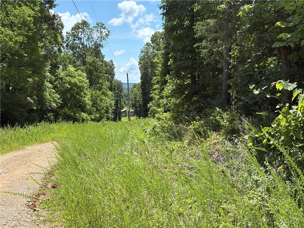 Property Photo:  780-01045-000 Saint Clair Trail  AR 72672 
