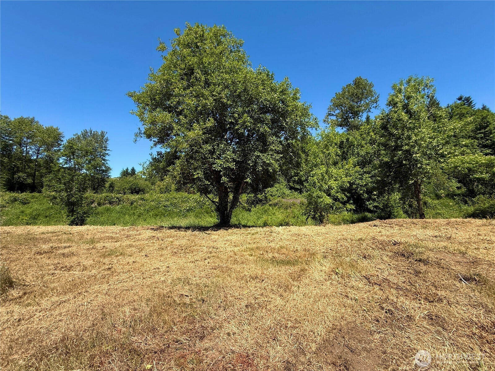 Property Photo: 127 Sawall A WA 98531