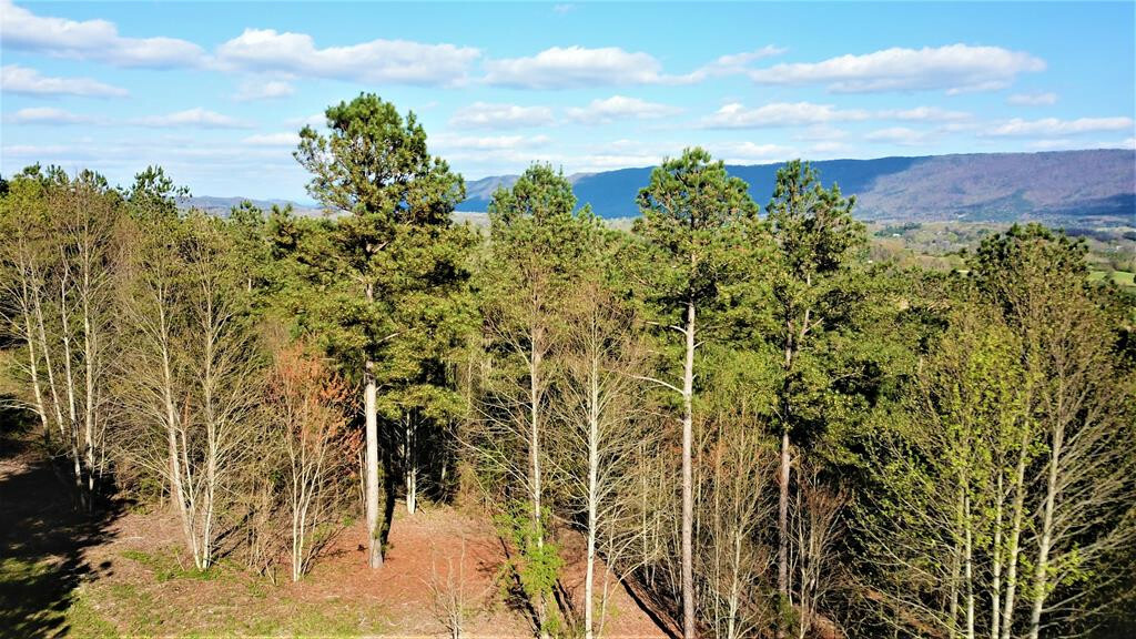 Property Photo: 609 Co Road TN 37331