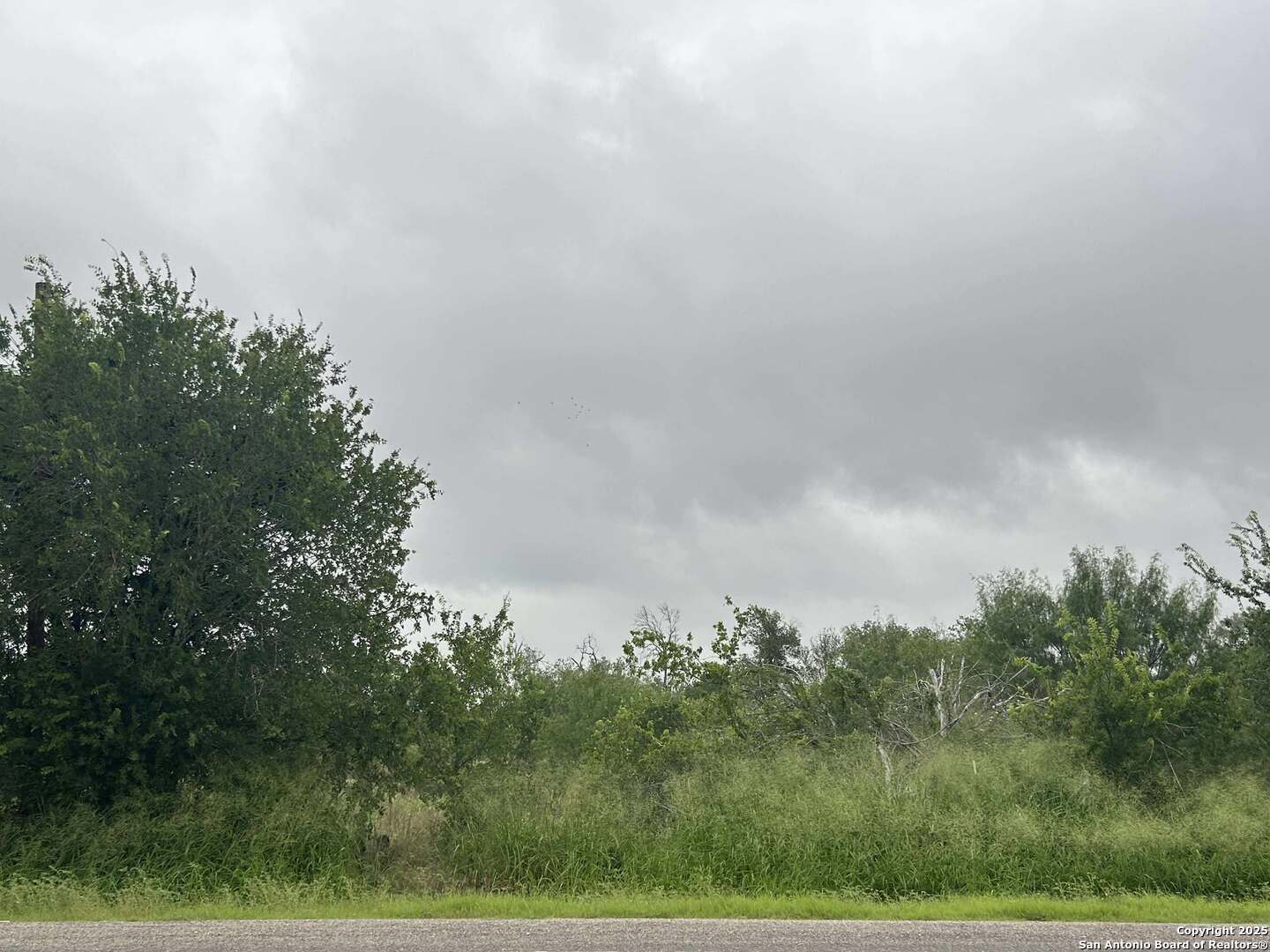 Property Photo:  16875 Fm 1937  TX 78221 
