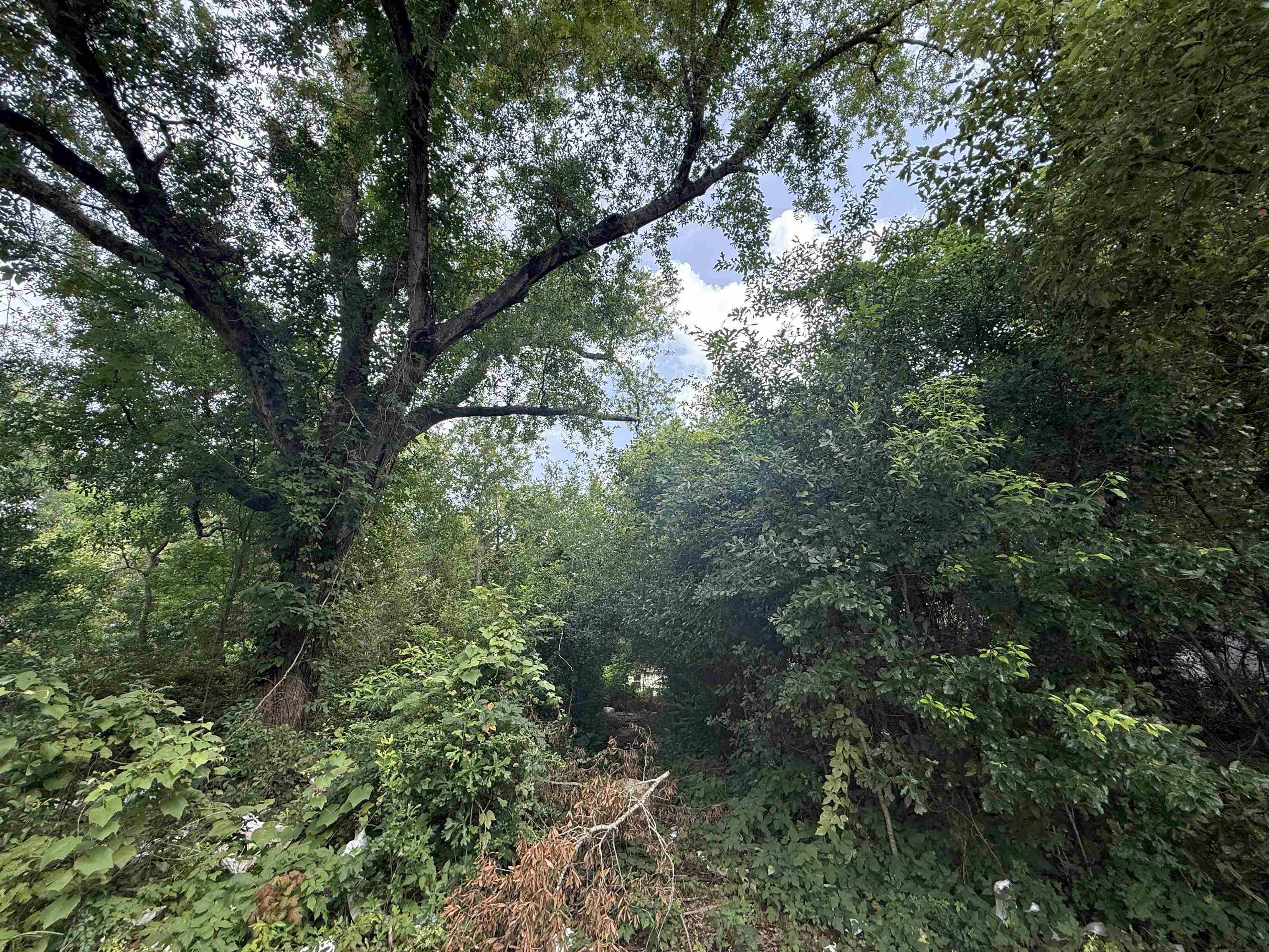 Property Photo:  7 Circle R  TX 77630 