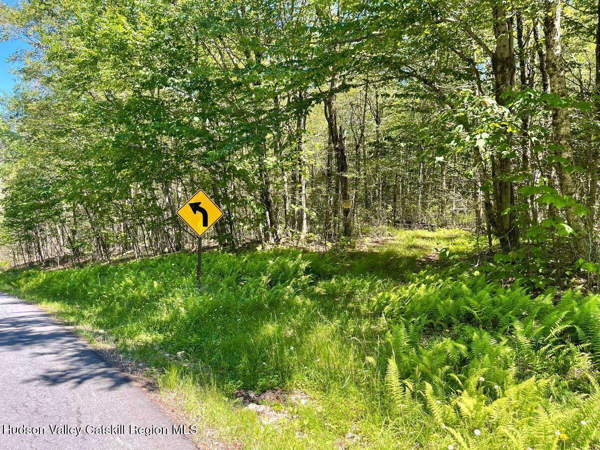 Property Photo:  3045 Red Hill  NY 12740 