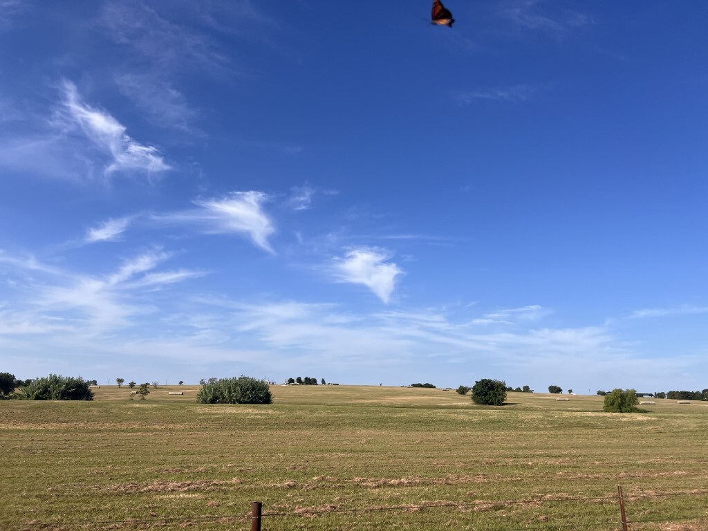 Property Photo: 700 County Road 330 Road TX 76530