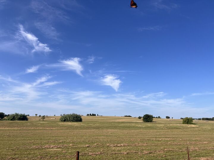 Property Photo:  700 County Road 330 Road  TX 76530 