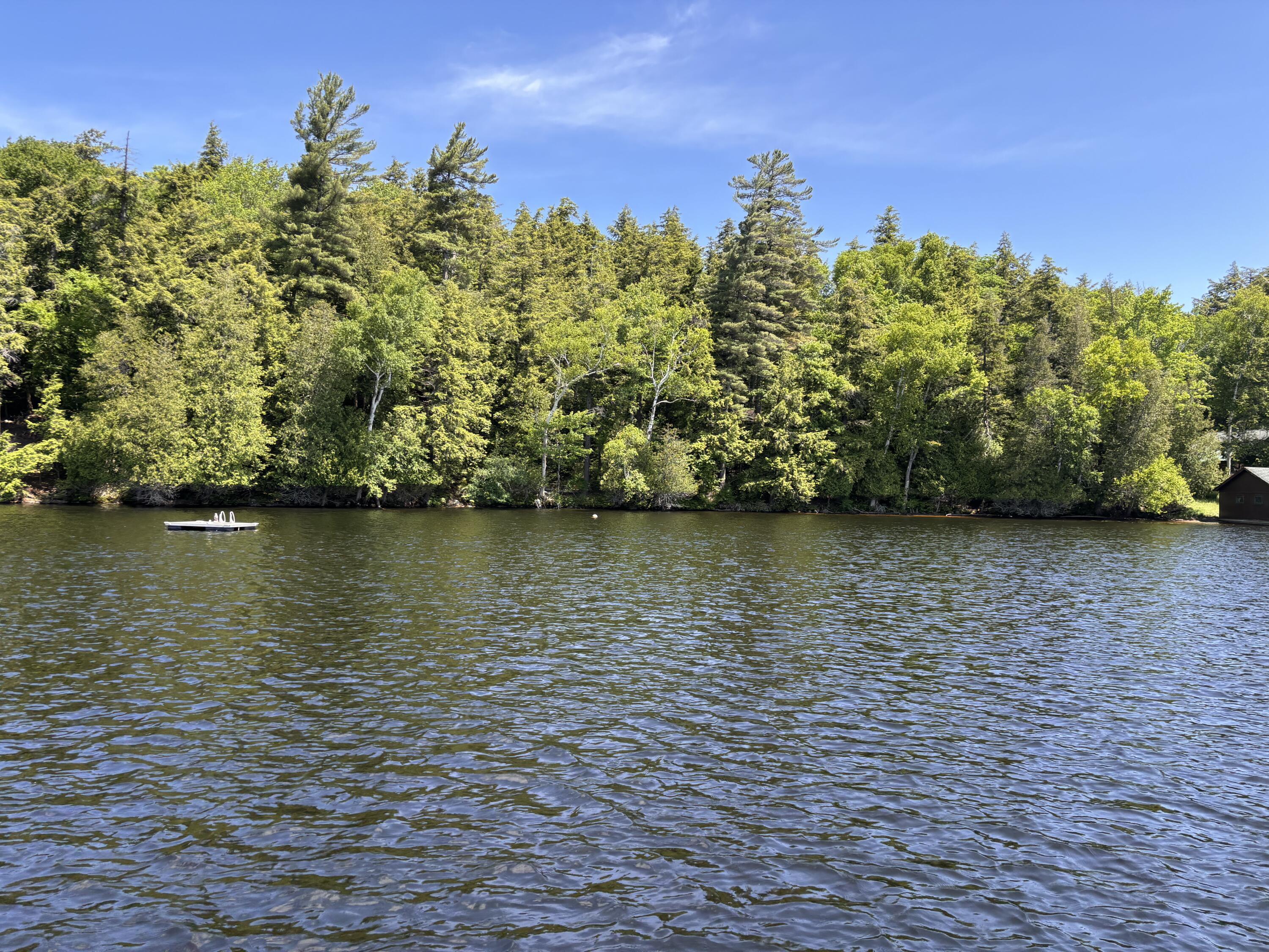 Property Photo:  000 Gilpin Bay Road  NY 12983 