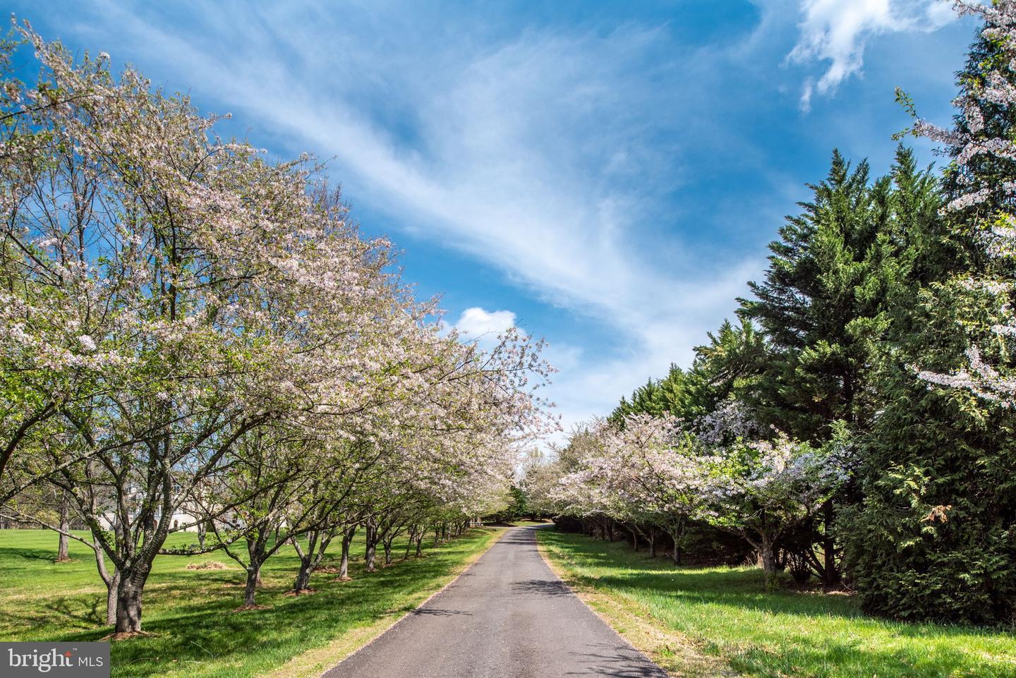 Property Photo: Lot 19 Hawthorne Drive VA 22733