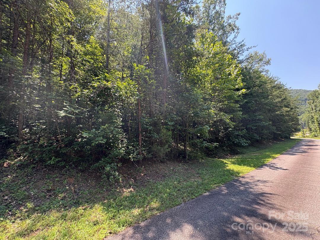 Property Photo:  Lot 13 Wildflower Way  NC 28752 