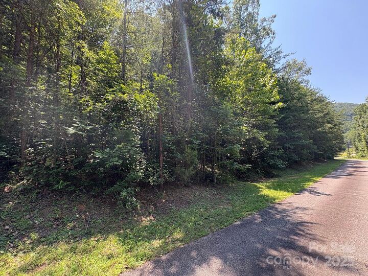 Property Photo: Lot 13 Wildflower Way NC 28752