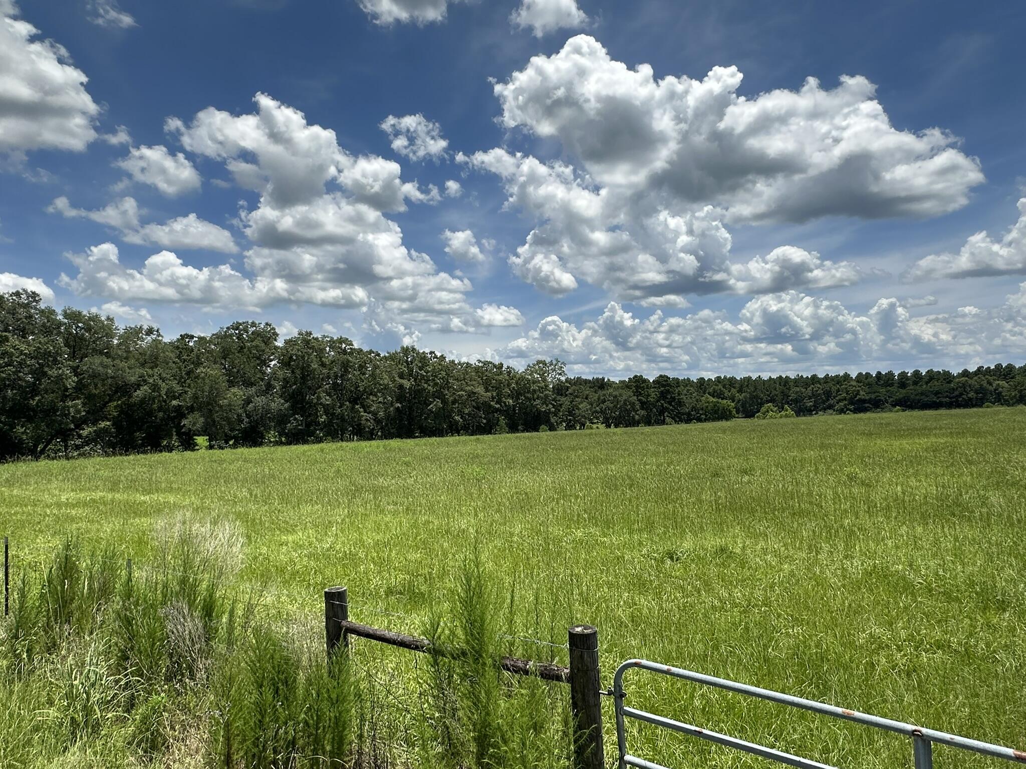 Property Photo: Parcel A Hub Presley Road FL 32567
