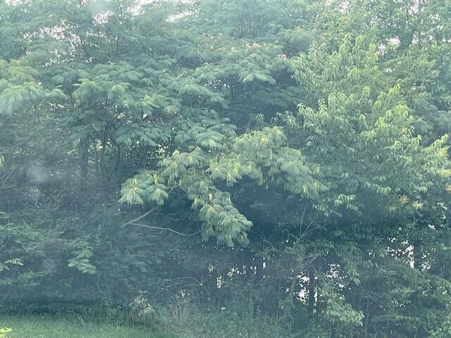 Property Photo:  0 Meadowbrook Lane  GA 30728 