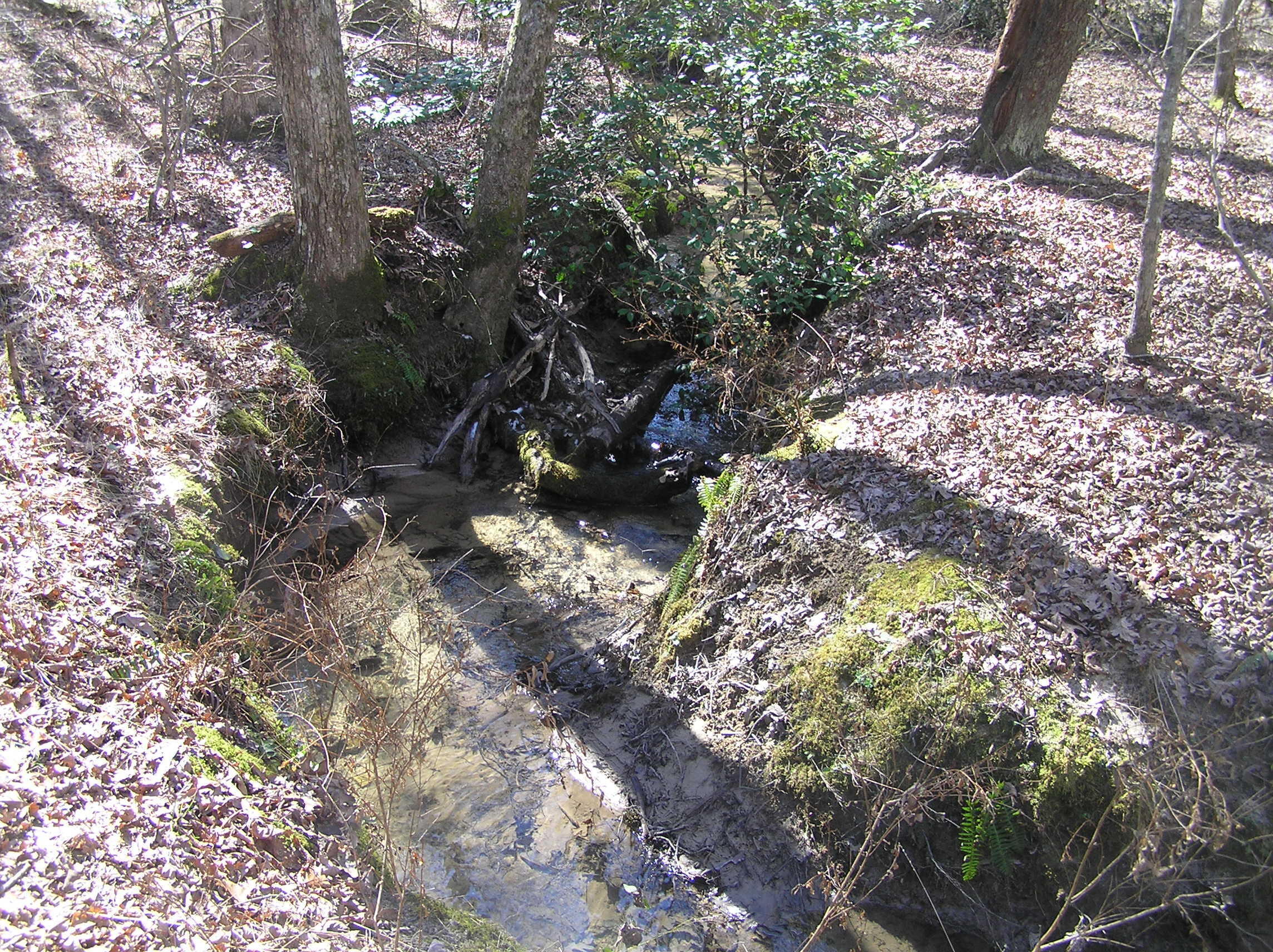 Property Photo: 66 Indian Trail Drive TN 38585