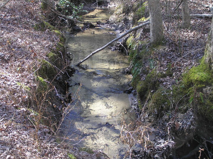 Property Photo: 66 Indian Trail Drive TN 38585