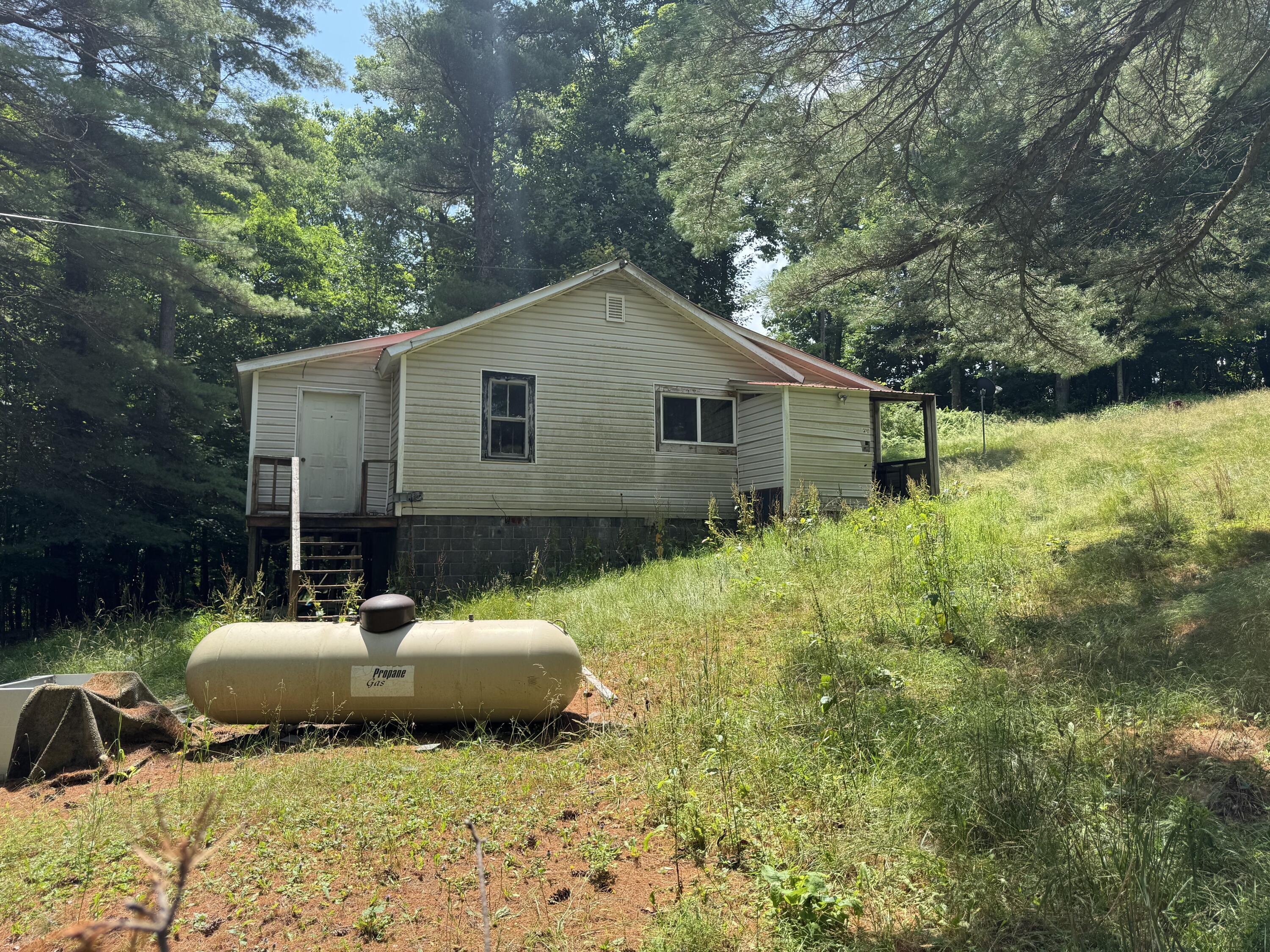 603 Odell Town Rd  Nettie WV 26681 photo