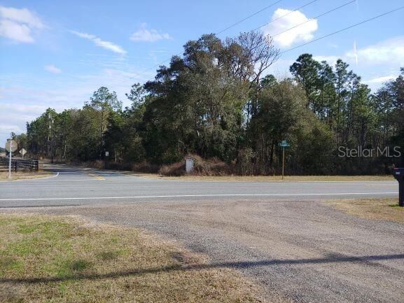 Property Photo: 0 US 41 Highway FL 34436