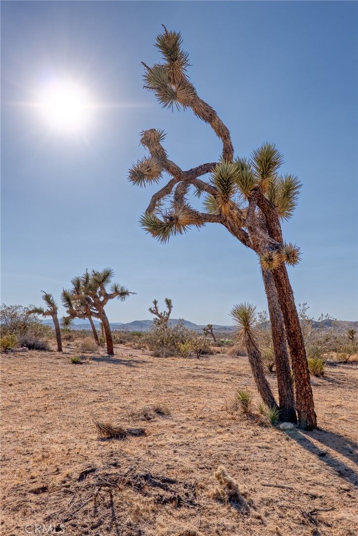 Property Photo: 107 Juniper Road CA 92252