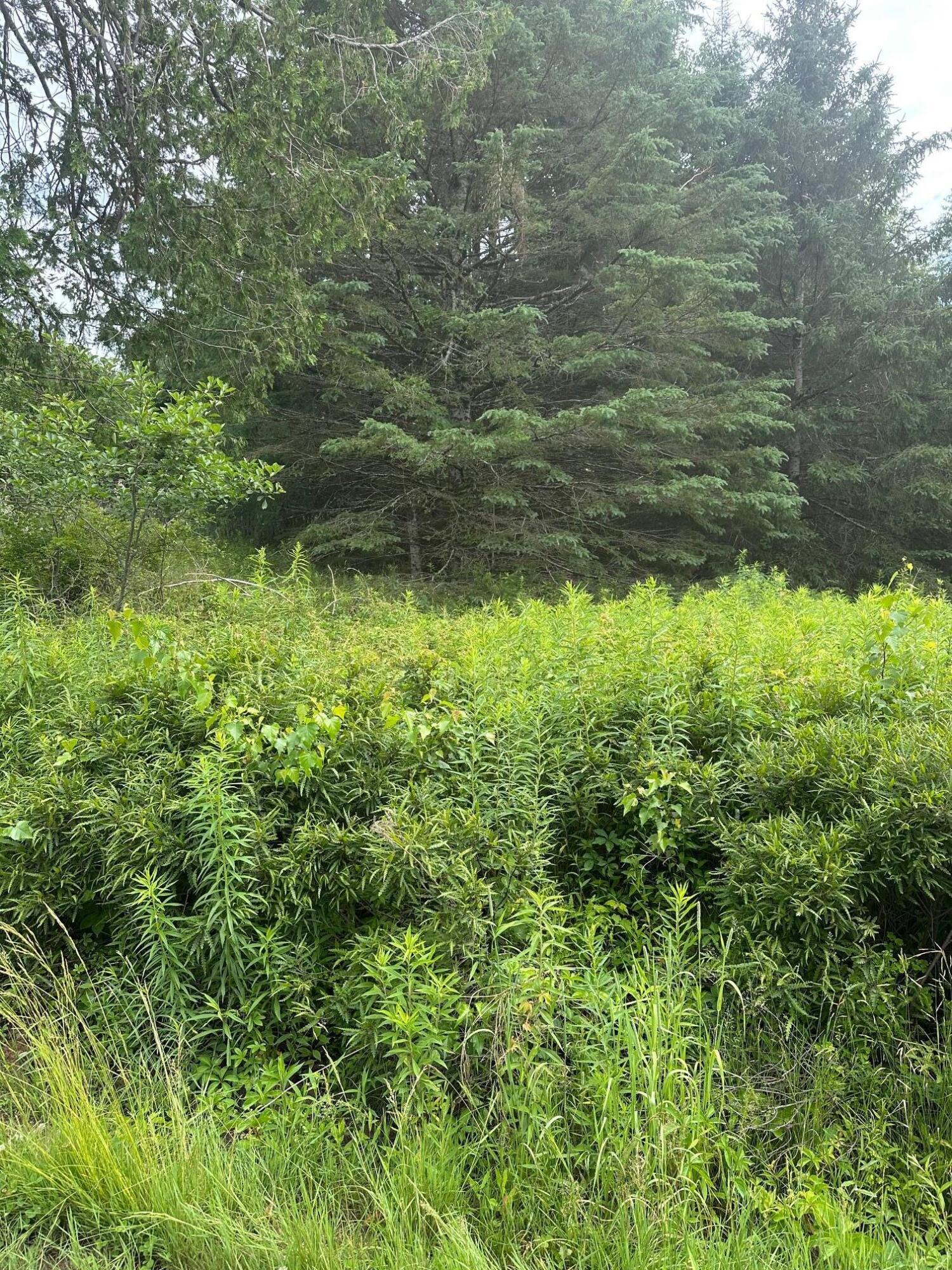 Property Photo: Lot 5 Soper Road ME 04413