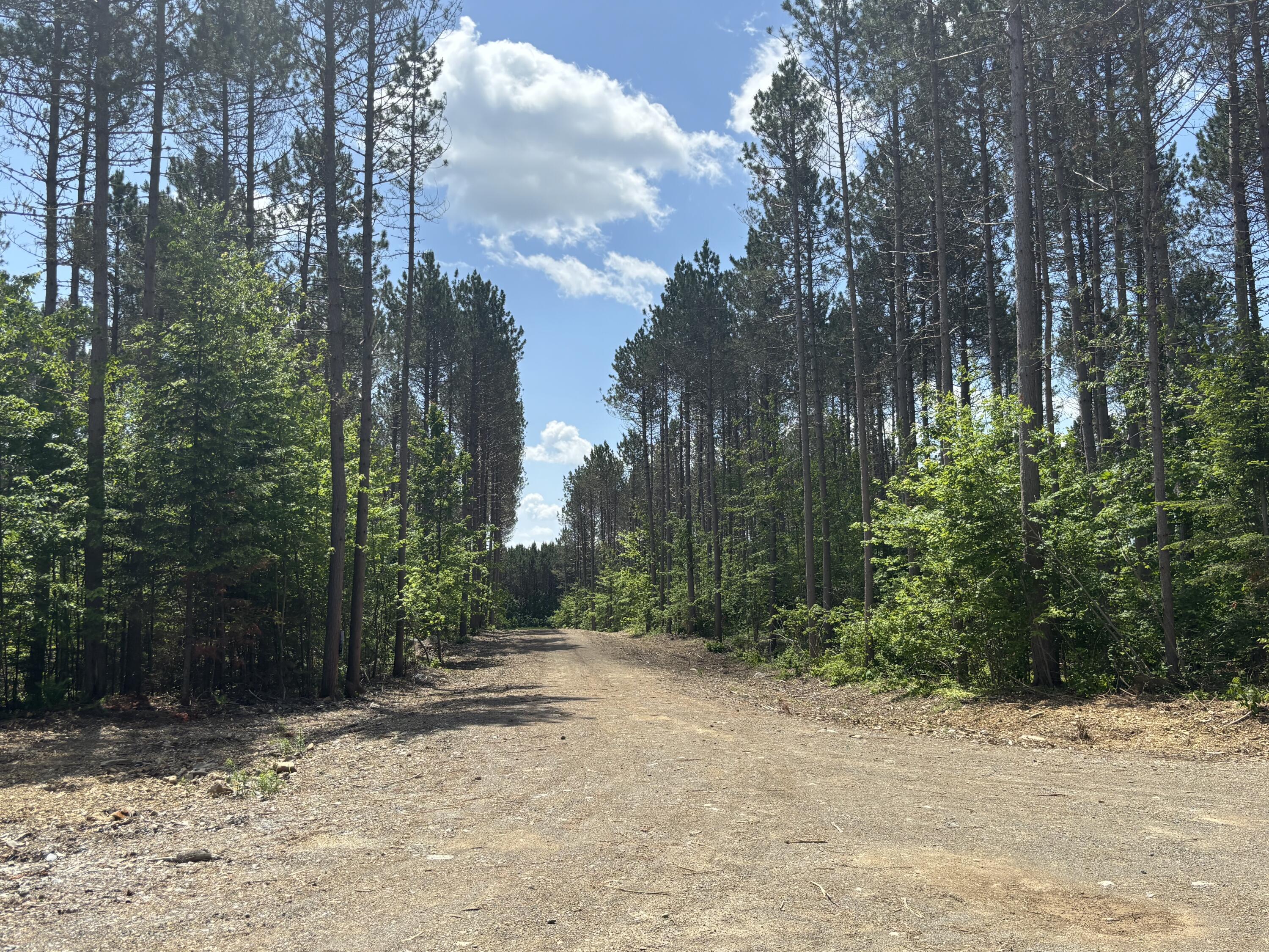 Property Photo: Lot K McDonald Road ME 04730