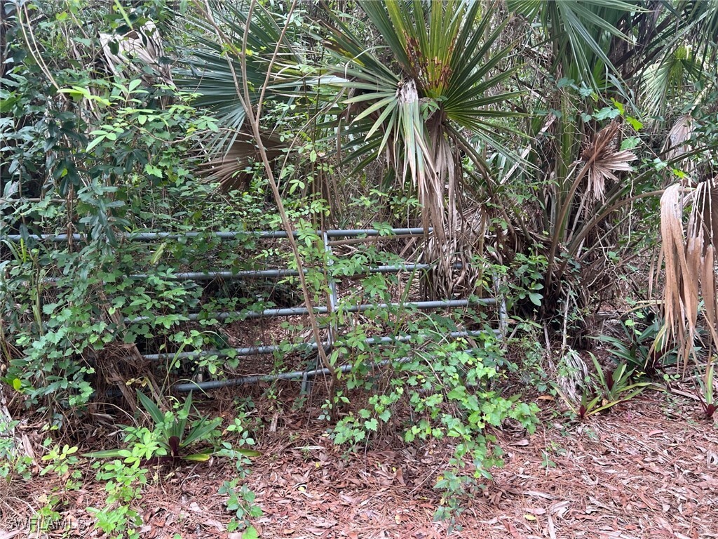 Property Photo:  3825 13th Avenue SW  FL 34117 