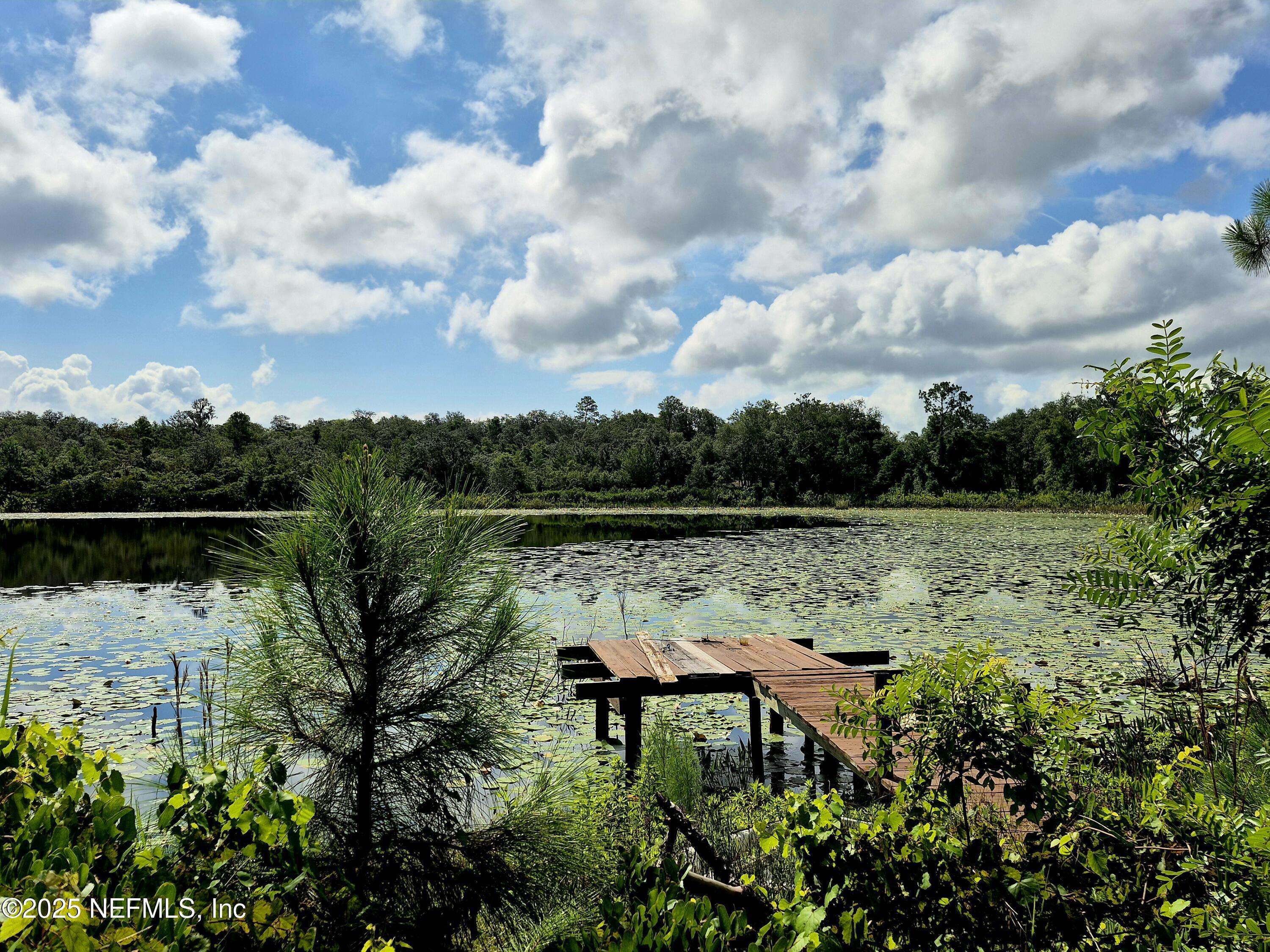 Property Photo:  282 Byrd Road  FL 32112 