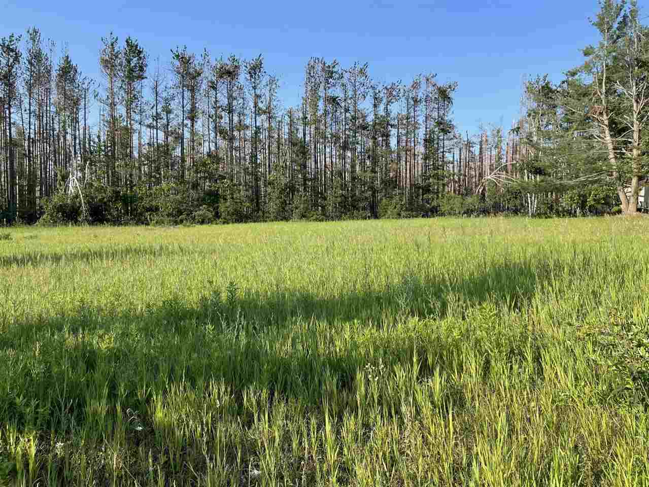 Property Photo: 2311 Pinecrest MI 49740