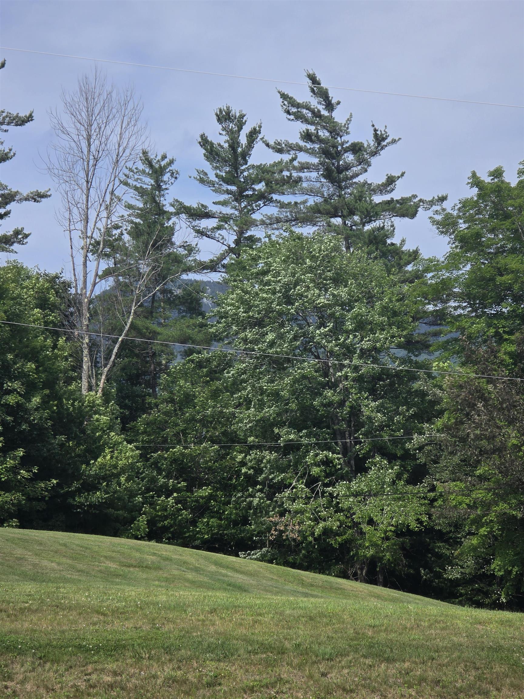 Property Photo:  00 Lime Kiln Road  NH 03765 