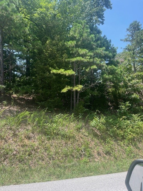 8119 Beaver Shores Road  Rogers AR 72756 photo