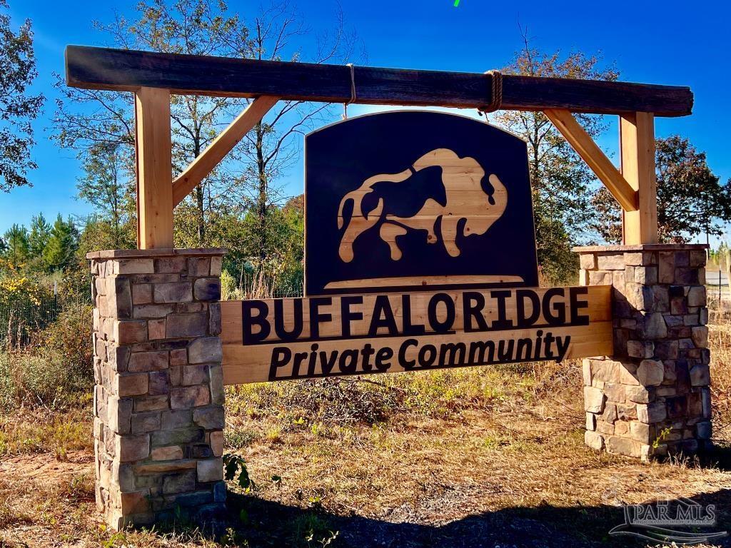 Property Photo:  Lot 38 Br Buffalo Ridge Rd  FL 32571 