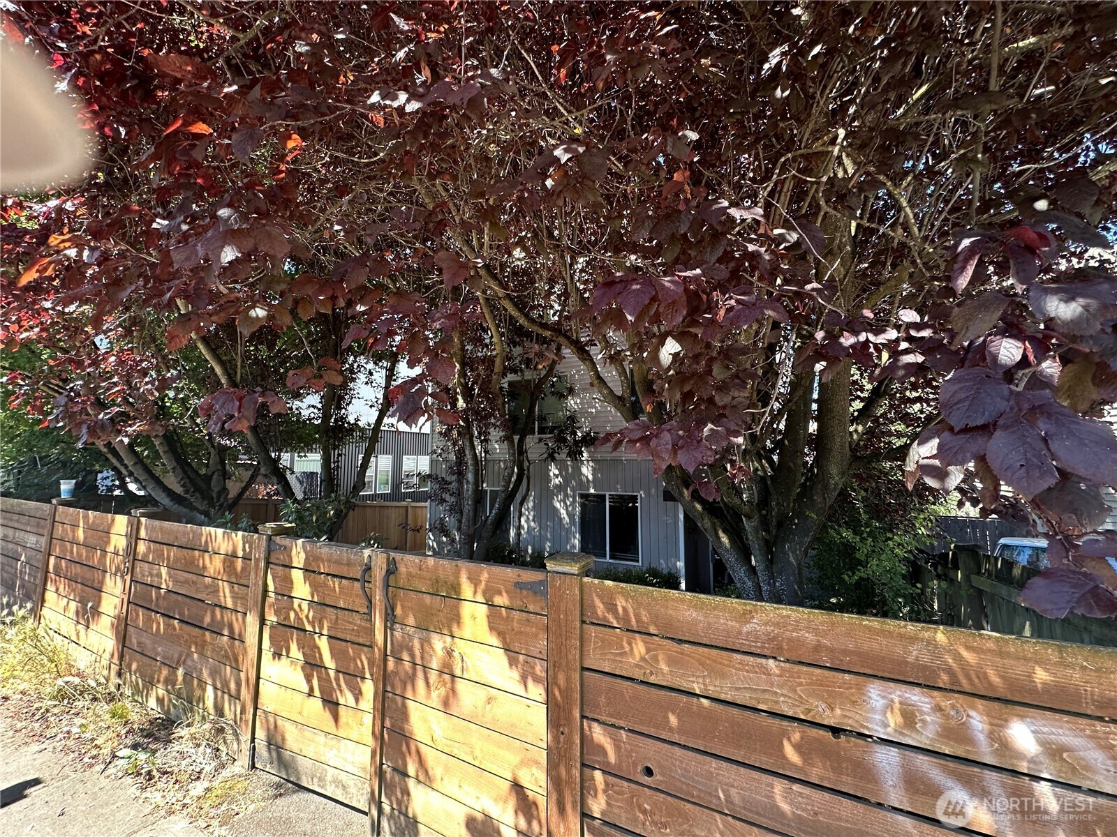 Property Photo: 10511 Midvale Avenue N 202 WA 98133