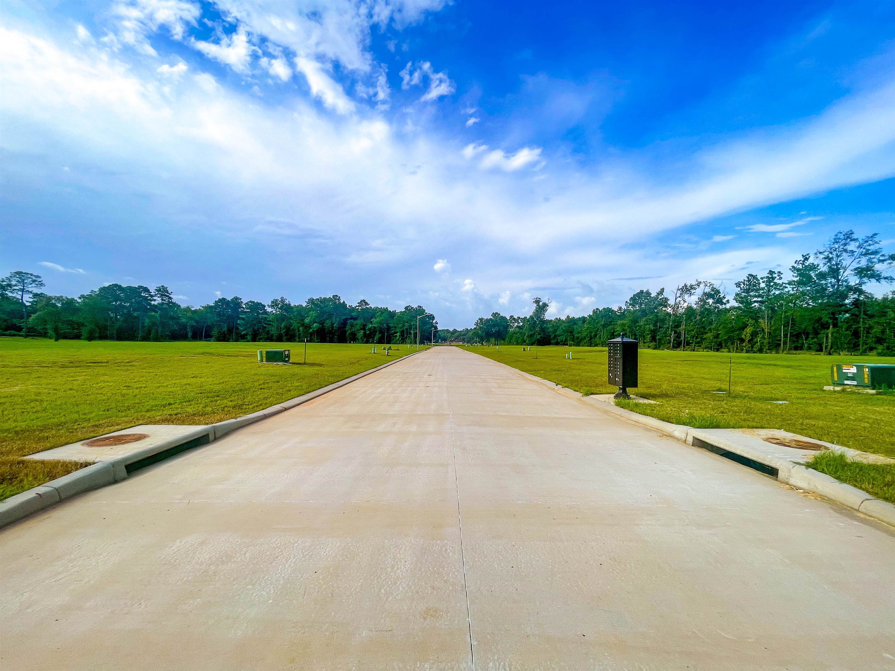 Property Photo: 000 Ss Brewer TX 77662