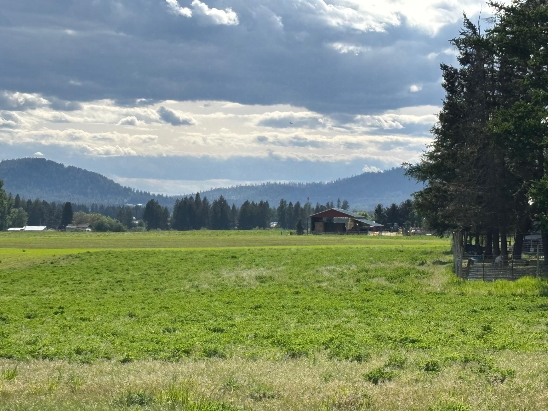 Property Photo:  Xxxx Bittrich-Antler Rd  WA 99006 