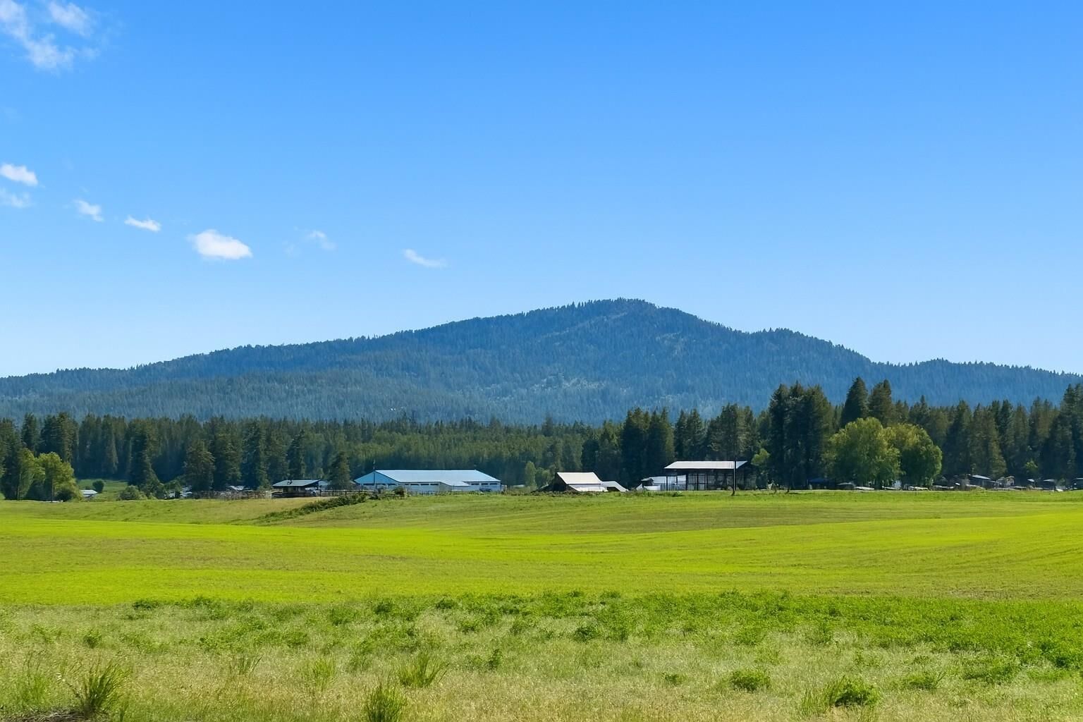 Property Photo: 46xx Bittrich-Antler Rd WA 99006