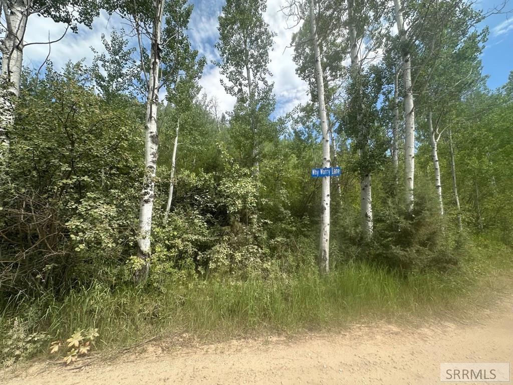 Property Photo:  Lot 10 Why Worry Lane  ID 83428 