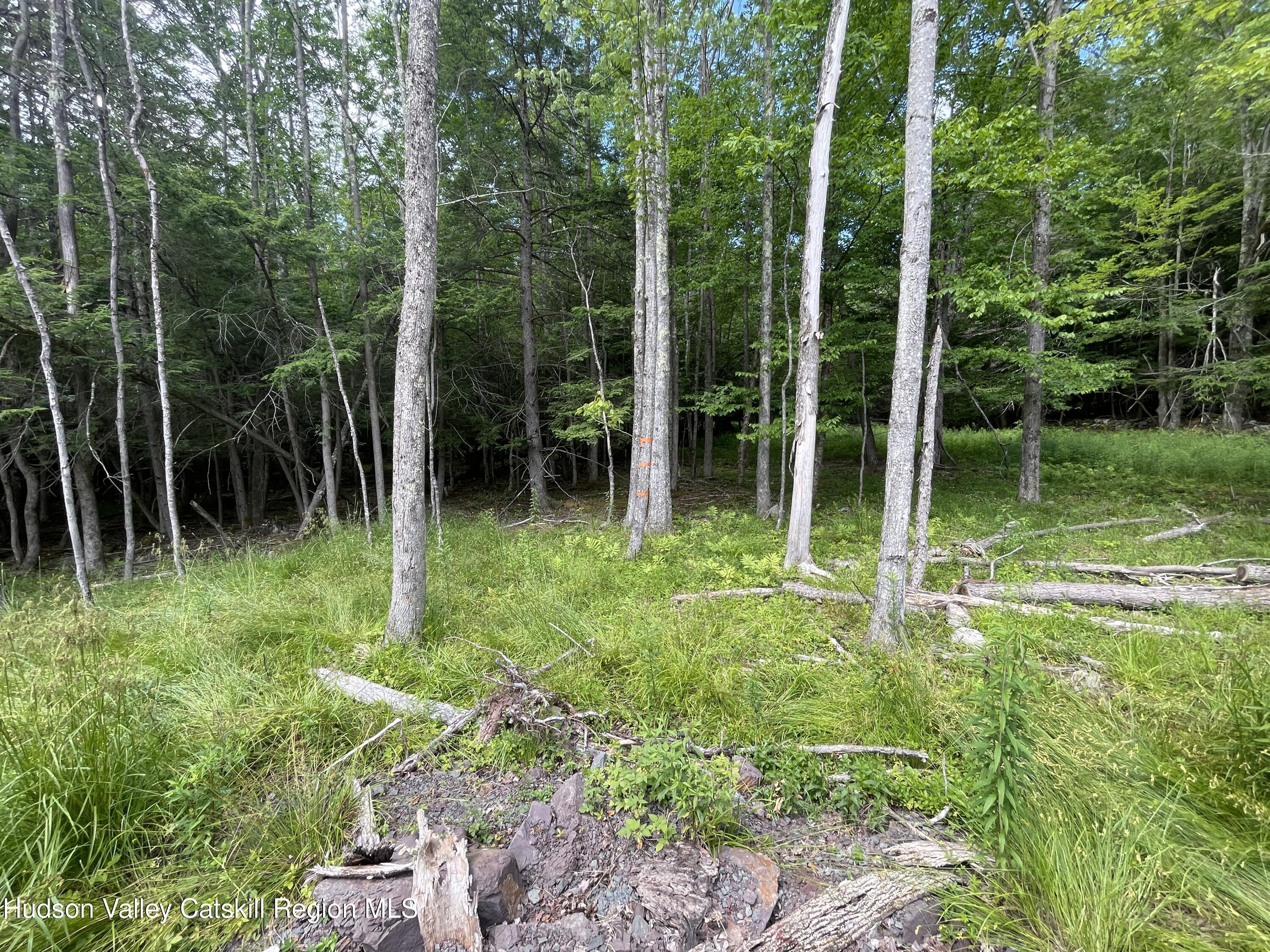 Property Photo:  Tbd Boulder Brook Lot B14  NY 12496 