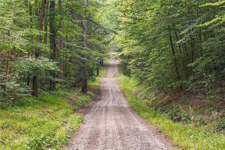 Chaffee Creek Road  Newfield NY 14867 photo