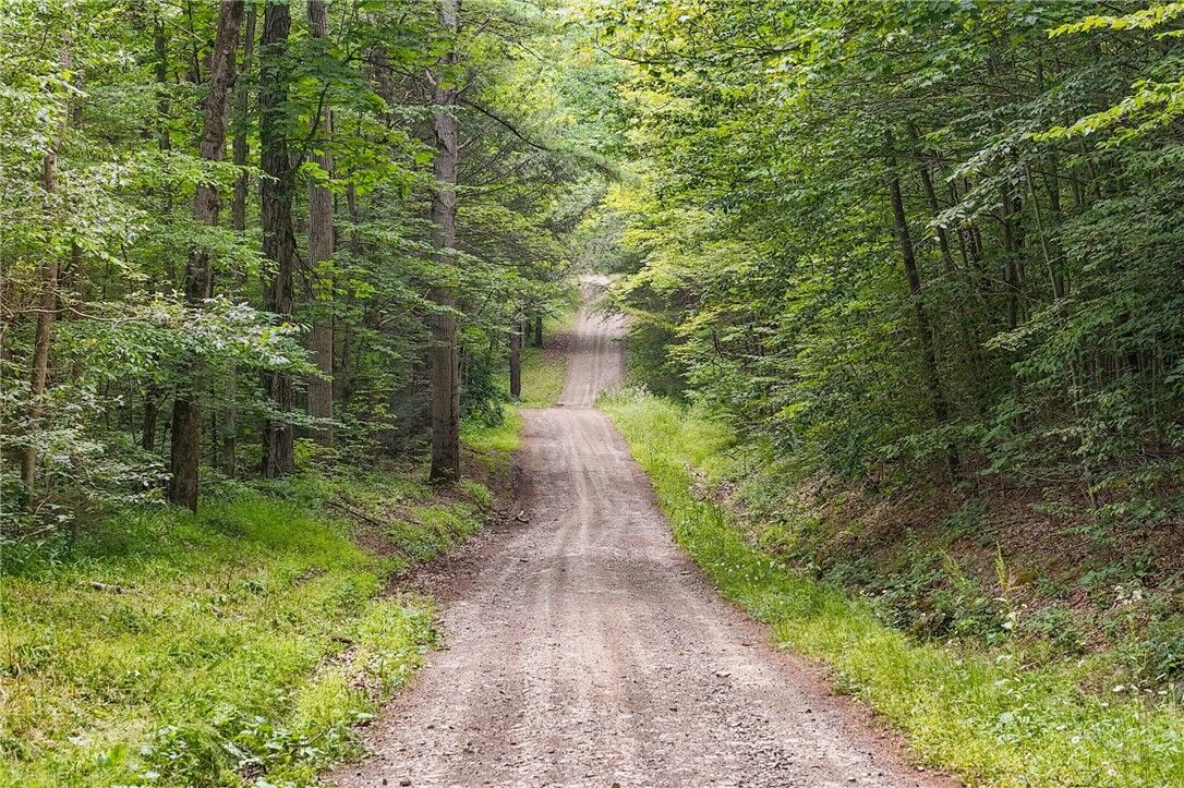Property Photo: Chaffee Creek Road NY 14867