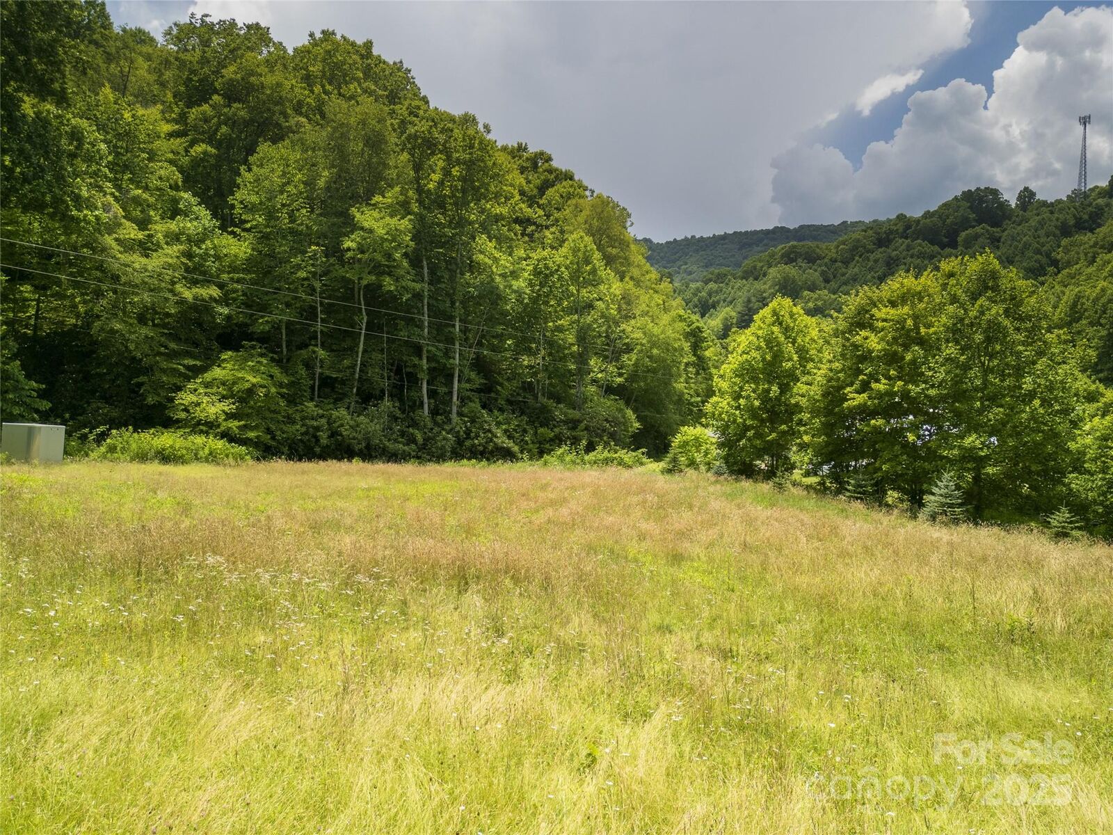 Property Photo: 168 Smith Creek Road NC 28754