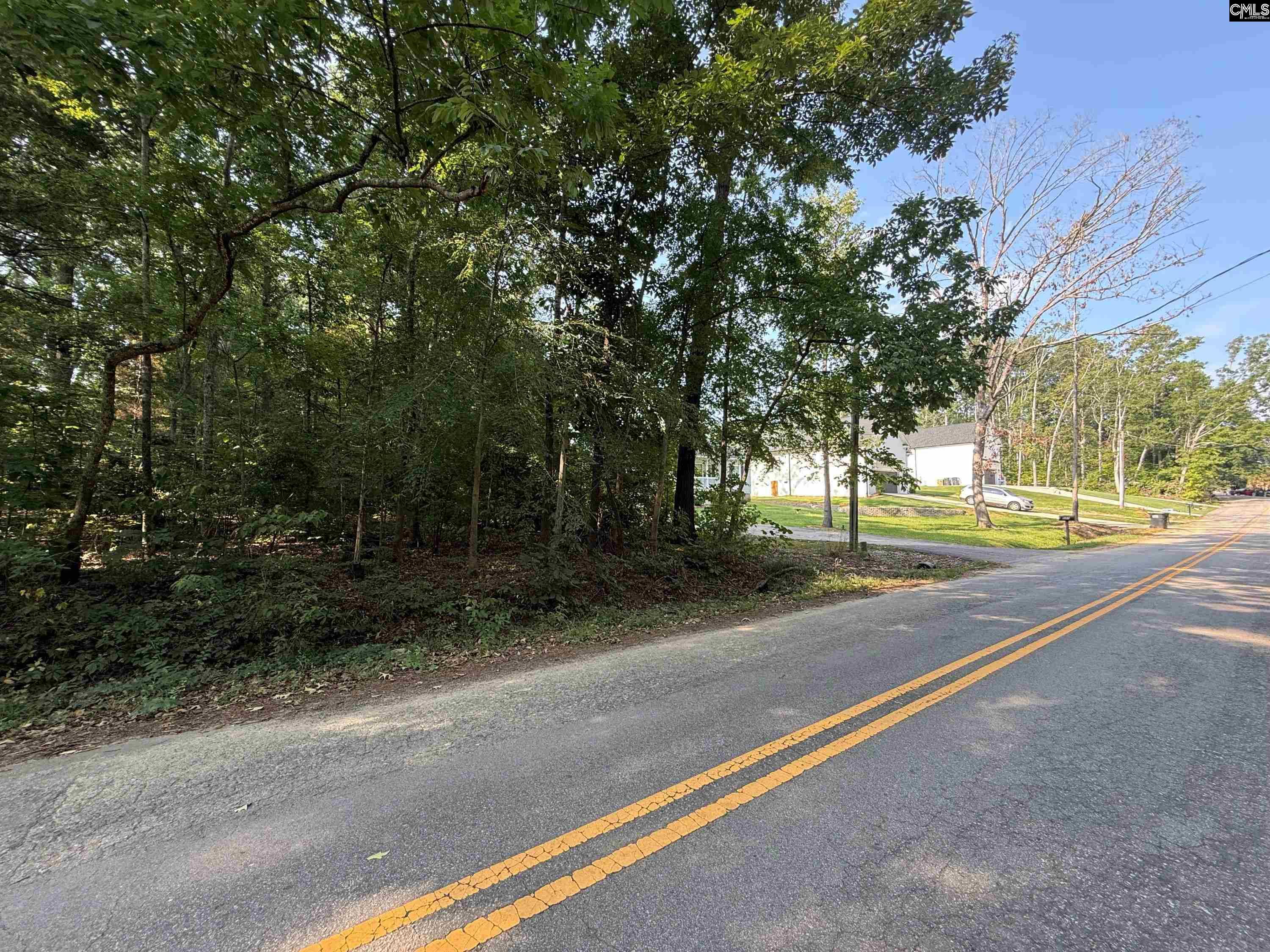 Property Photo: 533 Newberry Dr SC 29036