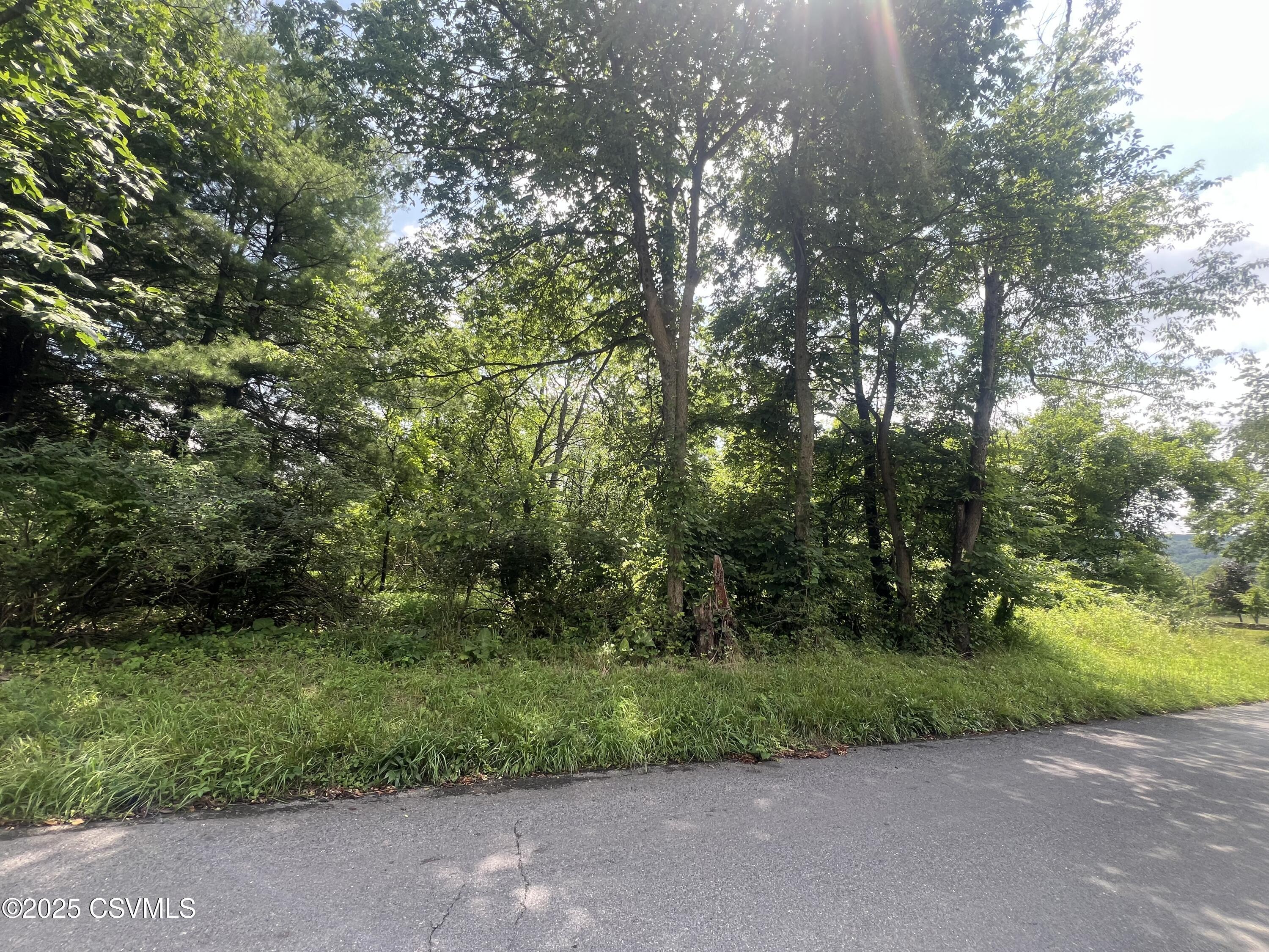Property Photo: 609 Hardscrabble Lane PA 17837