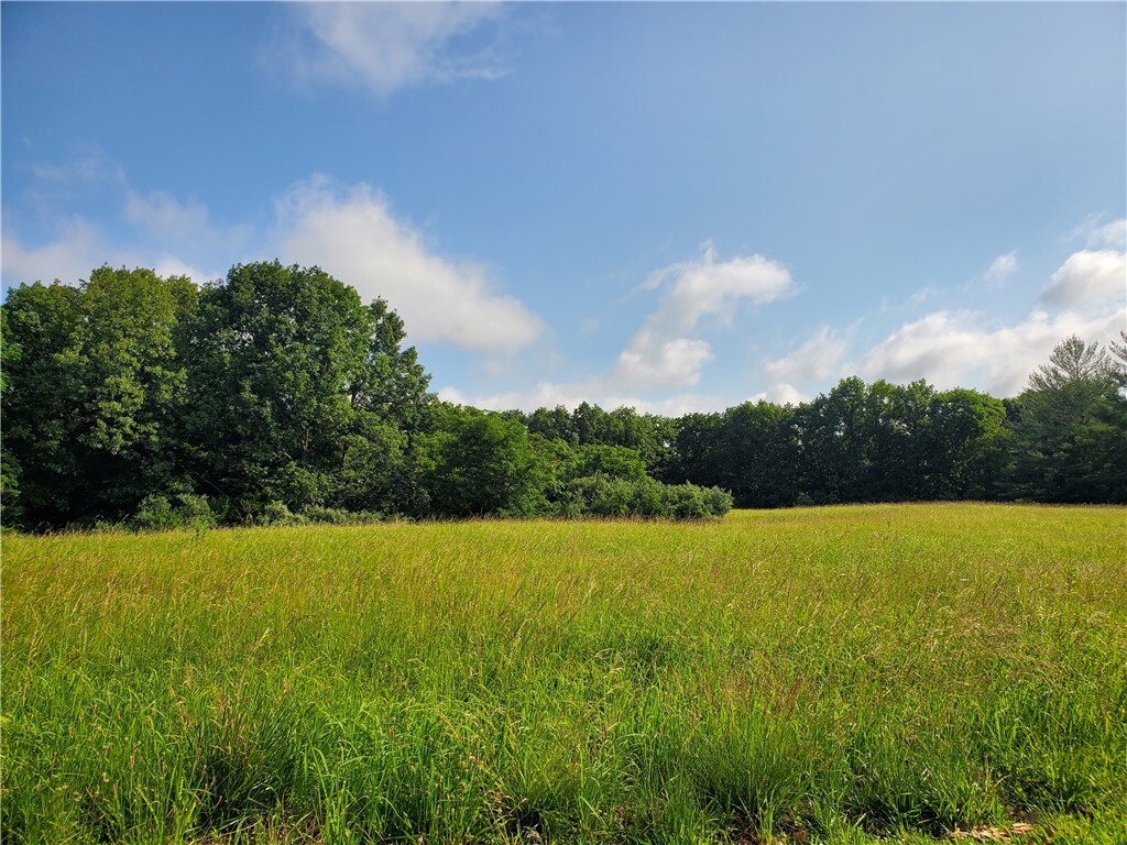 Danceland Road  Decatur IL 62521 photo