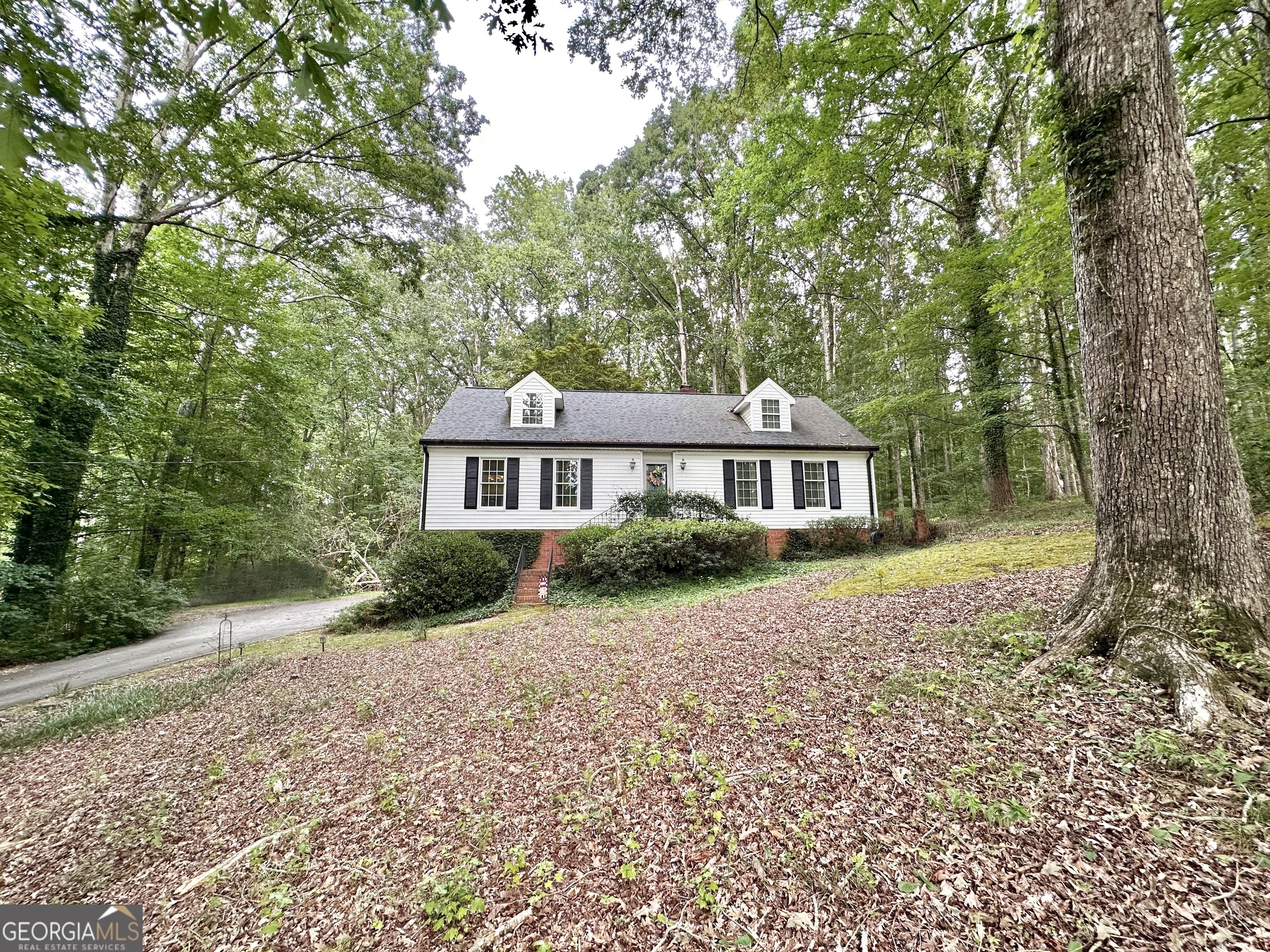 Property Photo: 58 Deerfield Road GA 30014