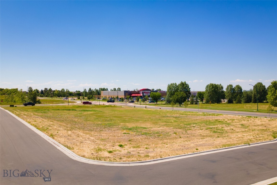 Property Photo: Lots 14A & 15A Cattail Street MT 59718