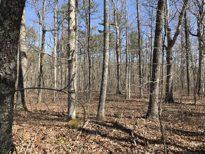 Property Photo: 3 Deerhead Road TN 37327