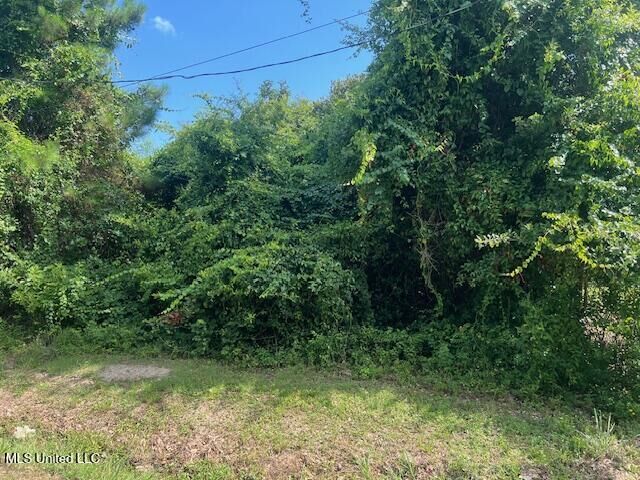 882 Maili Court  Diamondhead MS 39525 photo
