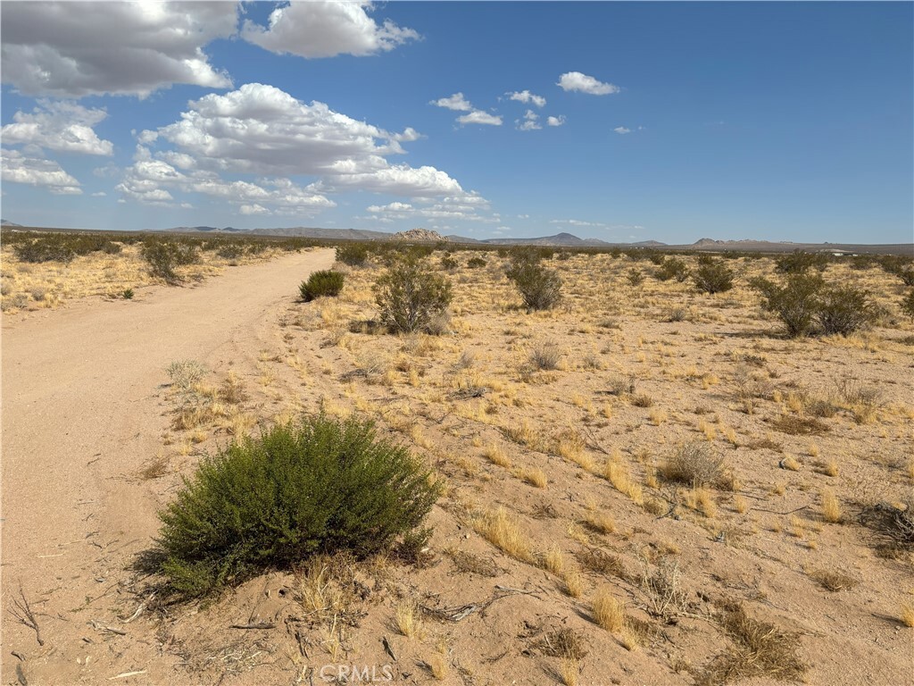 Property Photo: 0 Saxon Road CA 92356
