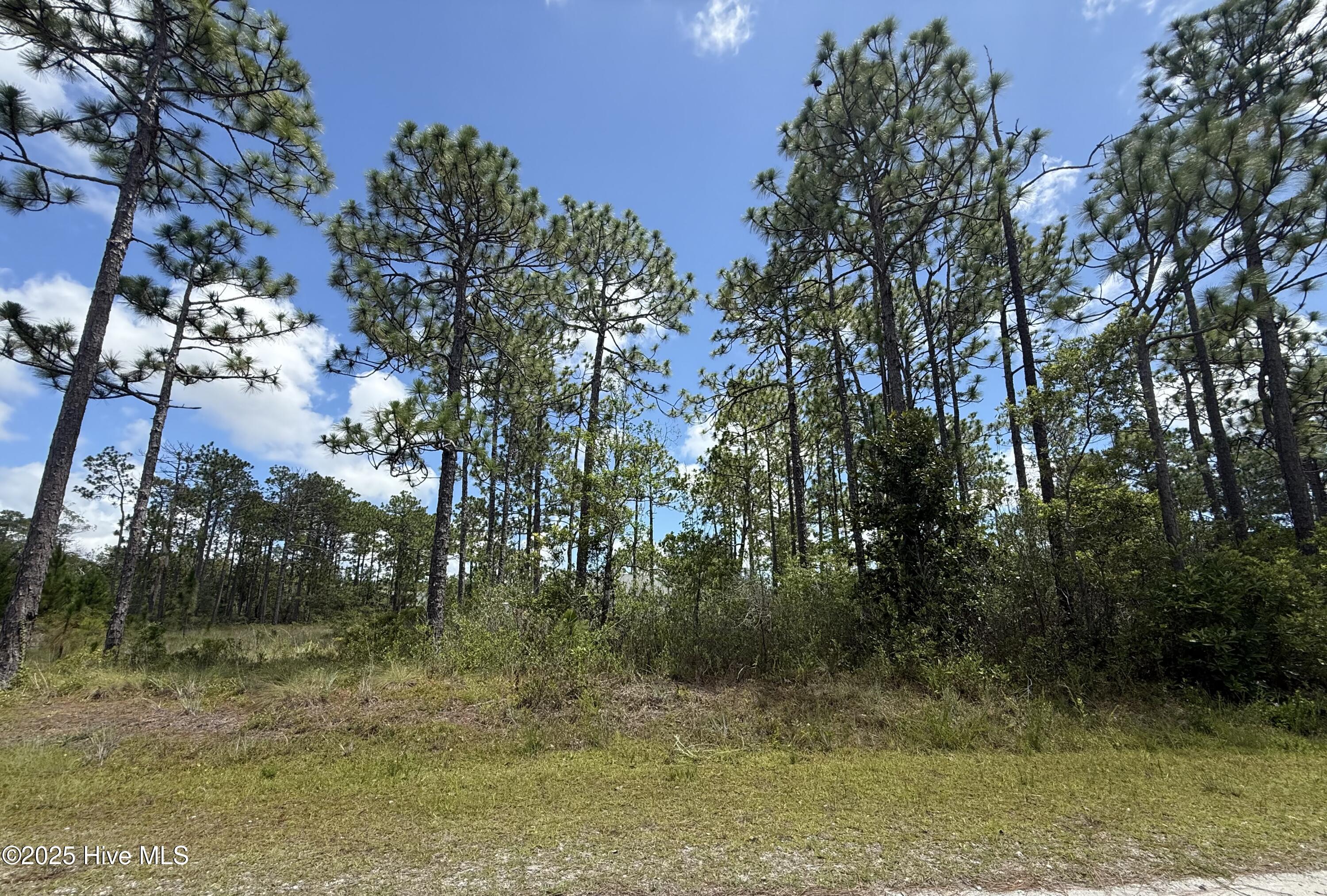 Property Photo: 407 Sunset Road NC 28461